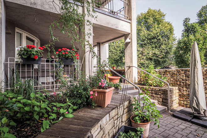 Die Terrasse der DRK-Tagespflege mit verschiedenen grünen Gewächsen.